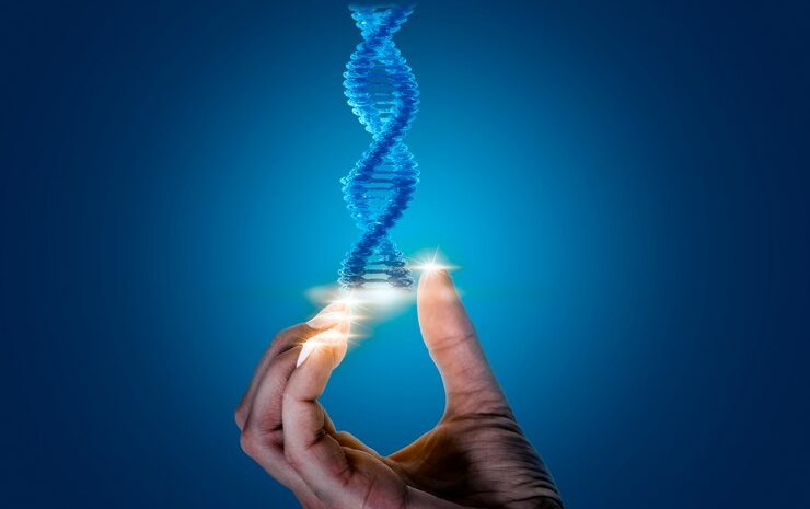  Epigenetik Haritalama