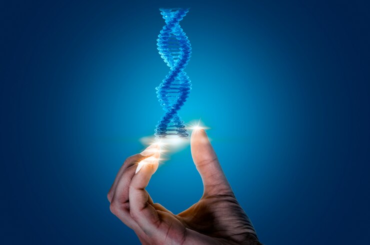  Epigenetik Haritalama